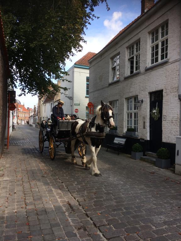 Guestsuite Lady Anna Brugge Bagian luar foto